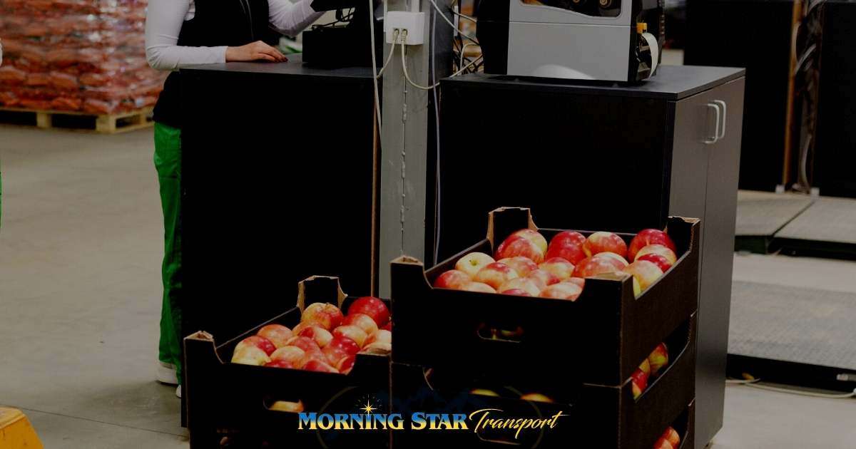 What is FoodGrade Warehouse & How it Operates Full Guide